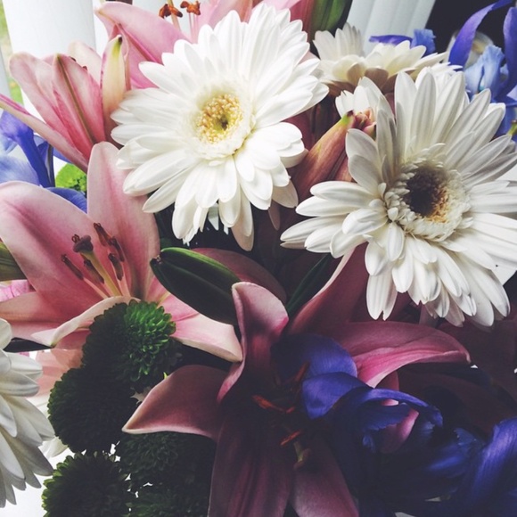 Meet your Posher, Emilia - Picture 1 of 1